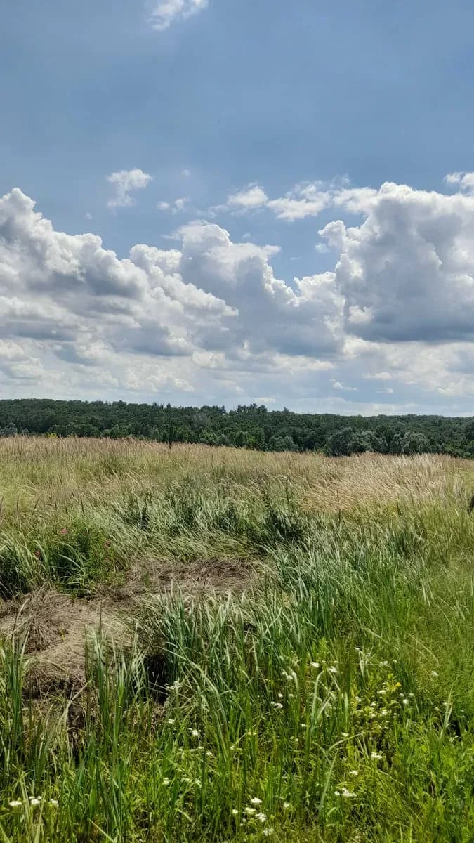 Ділянка 0,10 соток, Ржищів: під забудову, біля лісу - фото 3