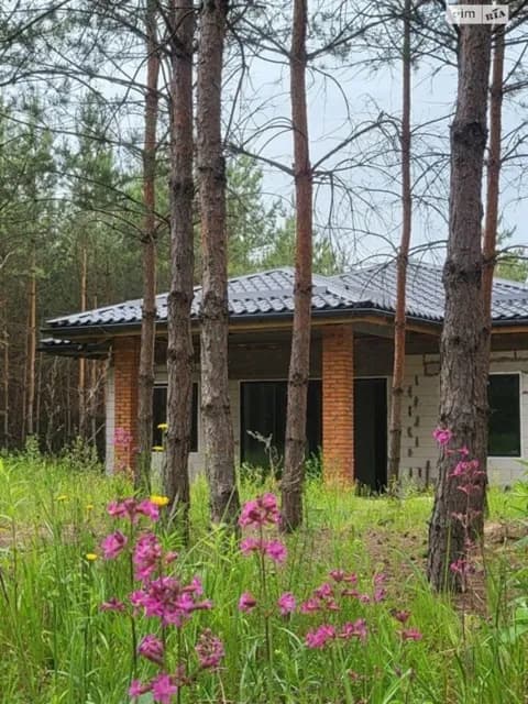 Будинок, Глеваха: газобетонні стіни, свердловина - фото 5