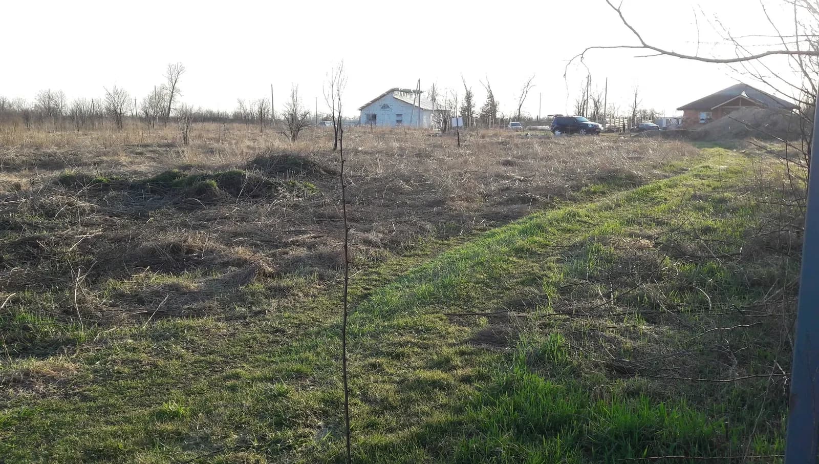 Ділянка 10 соток, Петропавлівське: електрика, 500 м до інфраструктури - фото 4