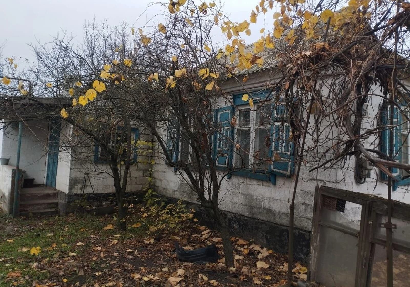 Будинок, Олександрівка (Магдалинівка): цегляні стіни, ділянка - фото 4