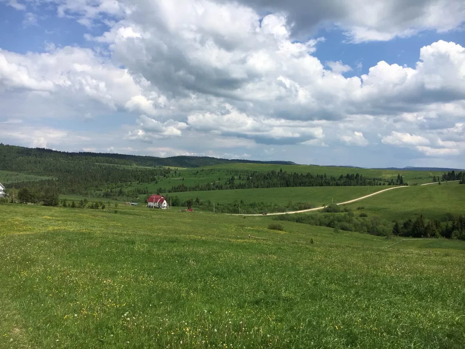Ділянка 73 соток, Верхній Турів: електрика за 100 м, ліс і потічок - фото 3