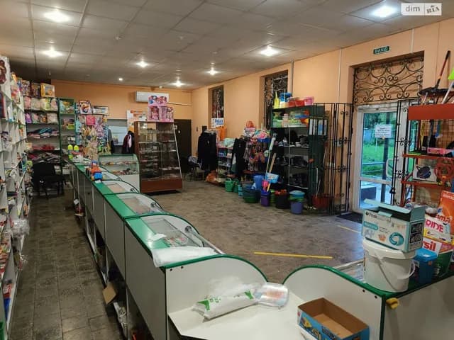 Приміщення, Благодатне: фасадне, під магазин, є пандус - фото 2