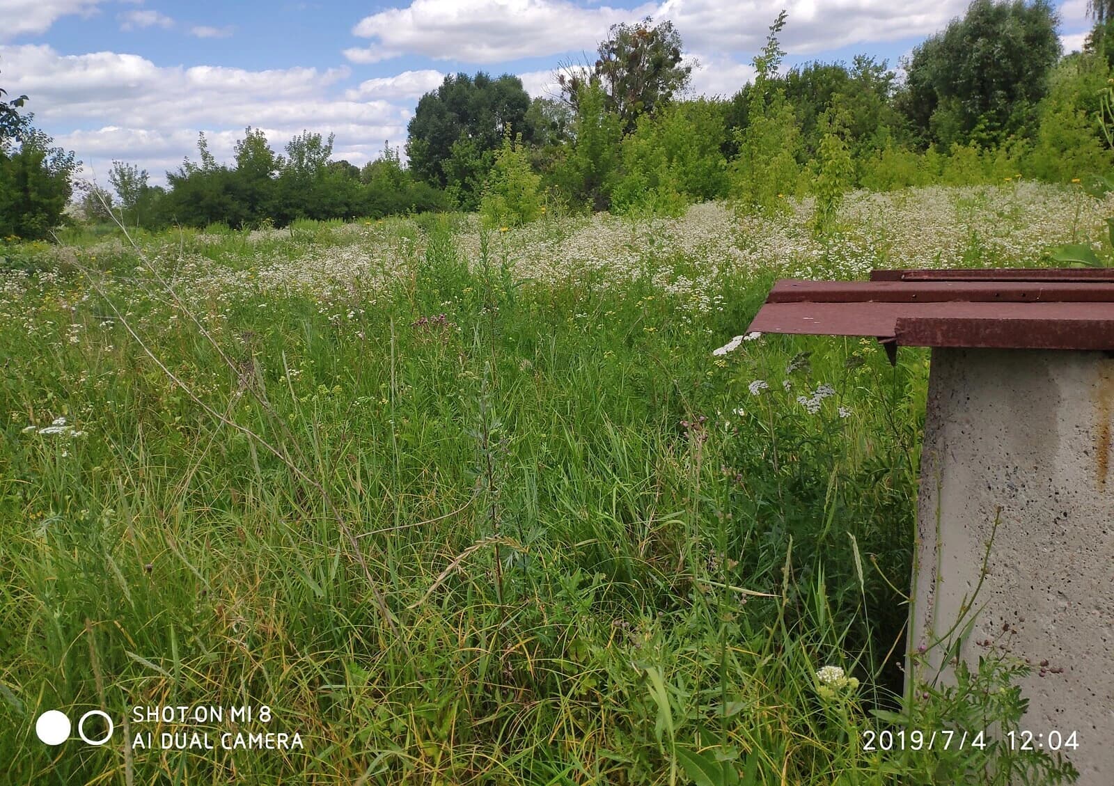 Ділянка 30 соток, Південне (Харків): під житлову забудову, криниця - фото 4