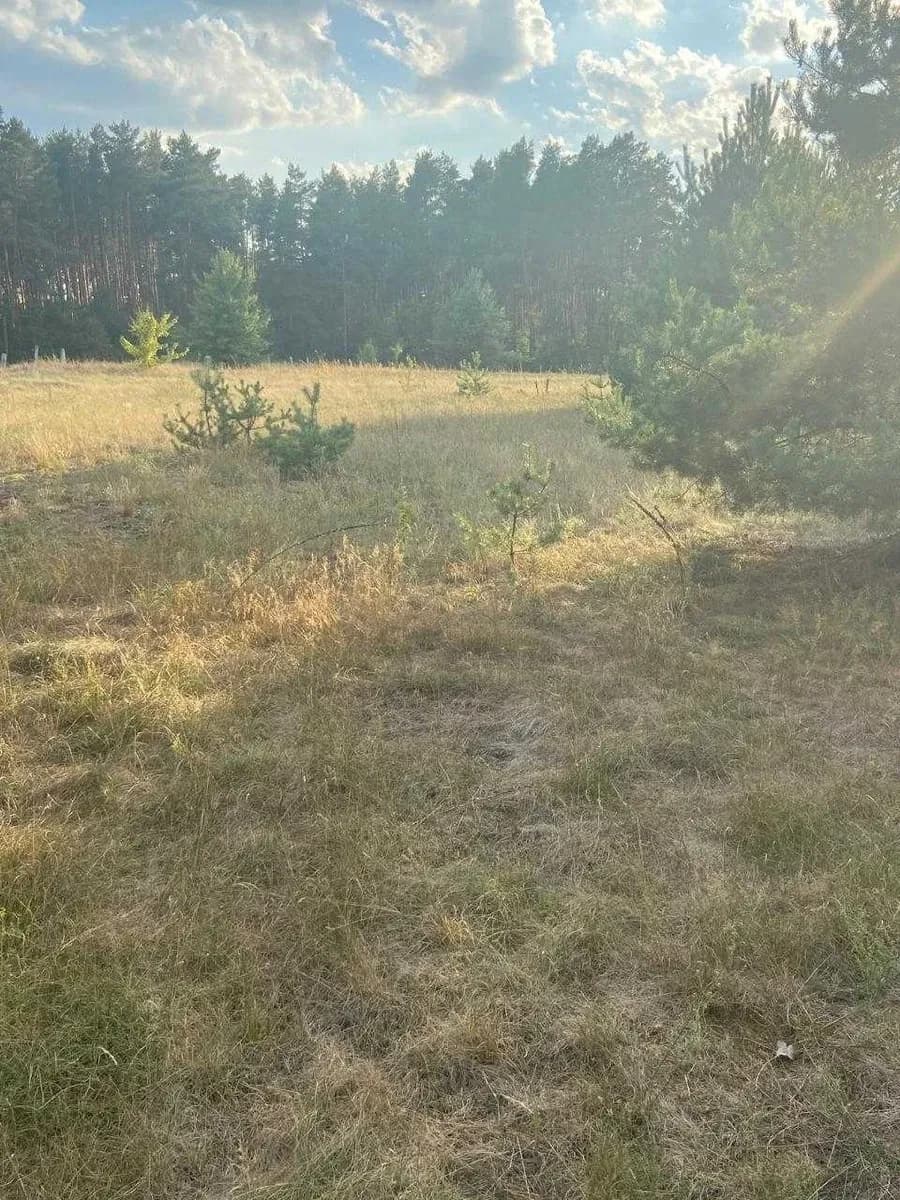 Ділянка 35 соток, Стригани: каскад озер, бетонна дорога, газ - фото 2