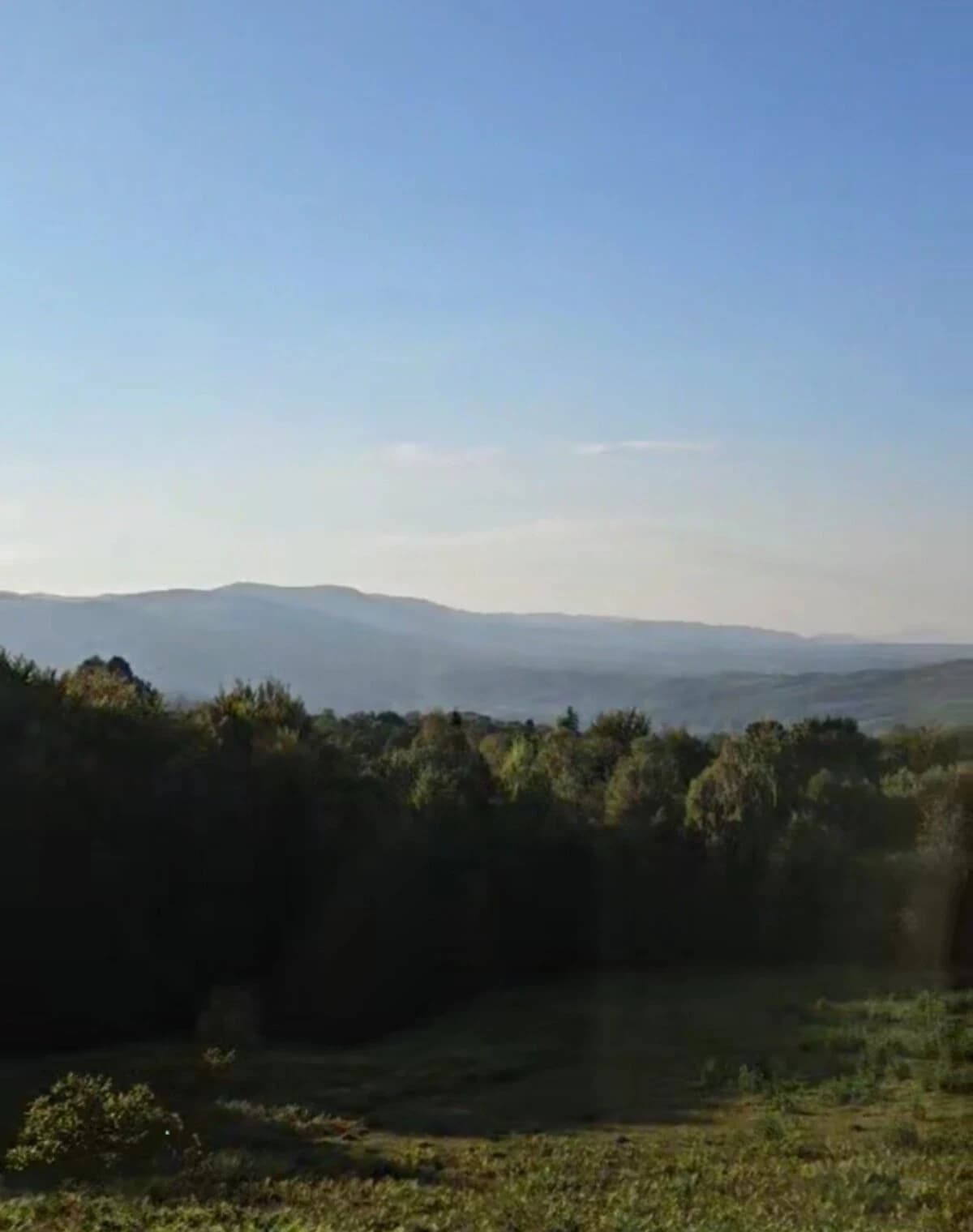 Ділянка 75 соток, Люча: сільськогосподарське призначення, сад - фото 2