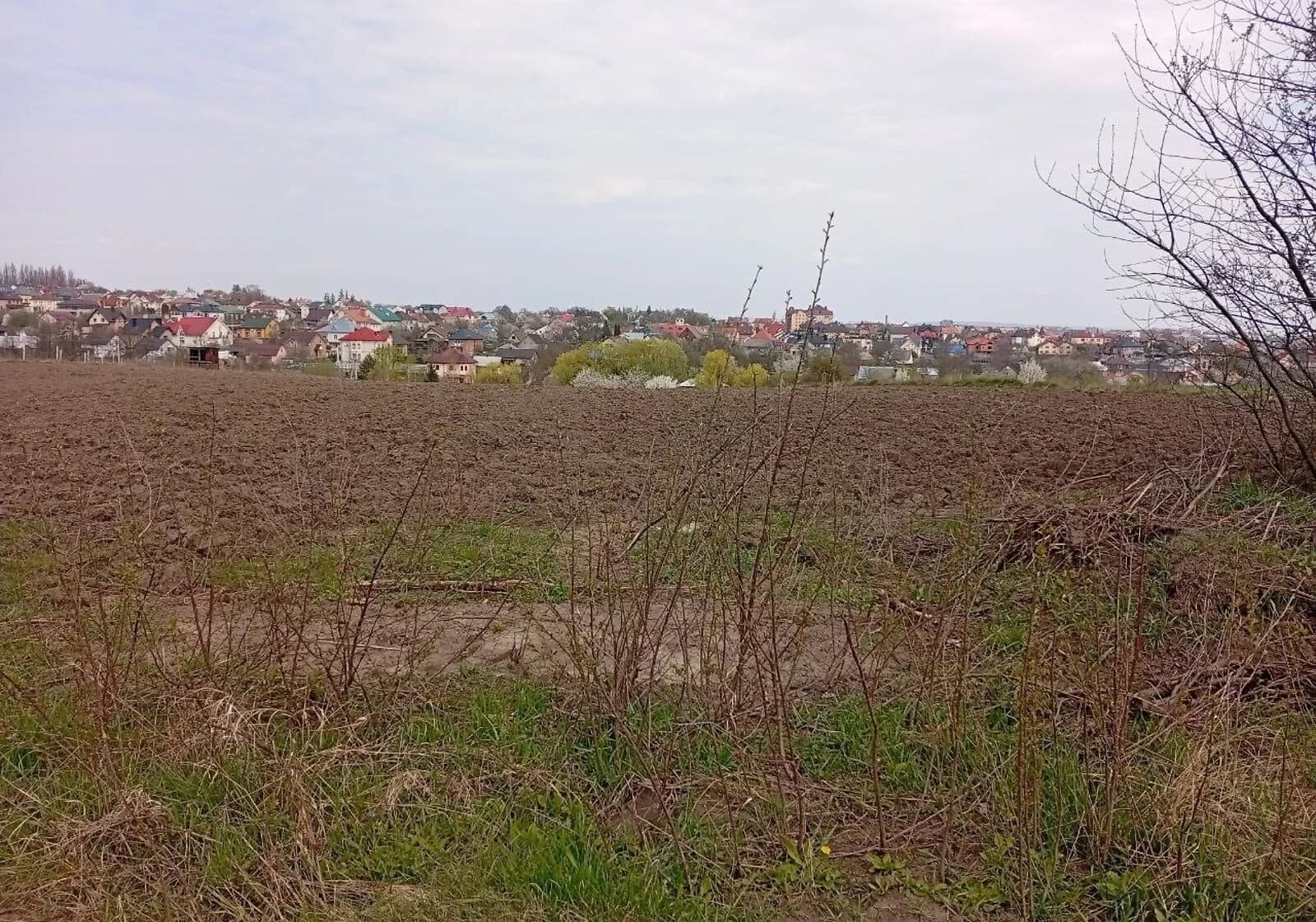 Ділянка 19.37 соток, Великий Кучурів: чорнозем, електрика - фото 2