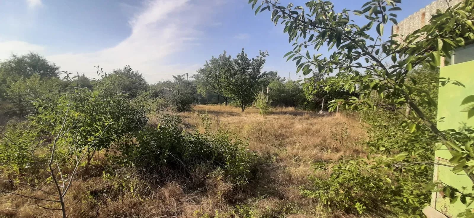 Ділянка 6 соток, Паліїївка: електрика, вид на Хаджибейський лиман - фото 5