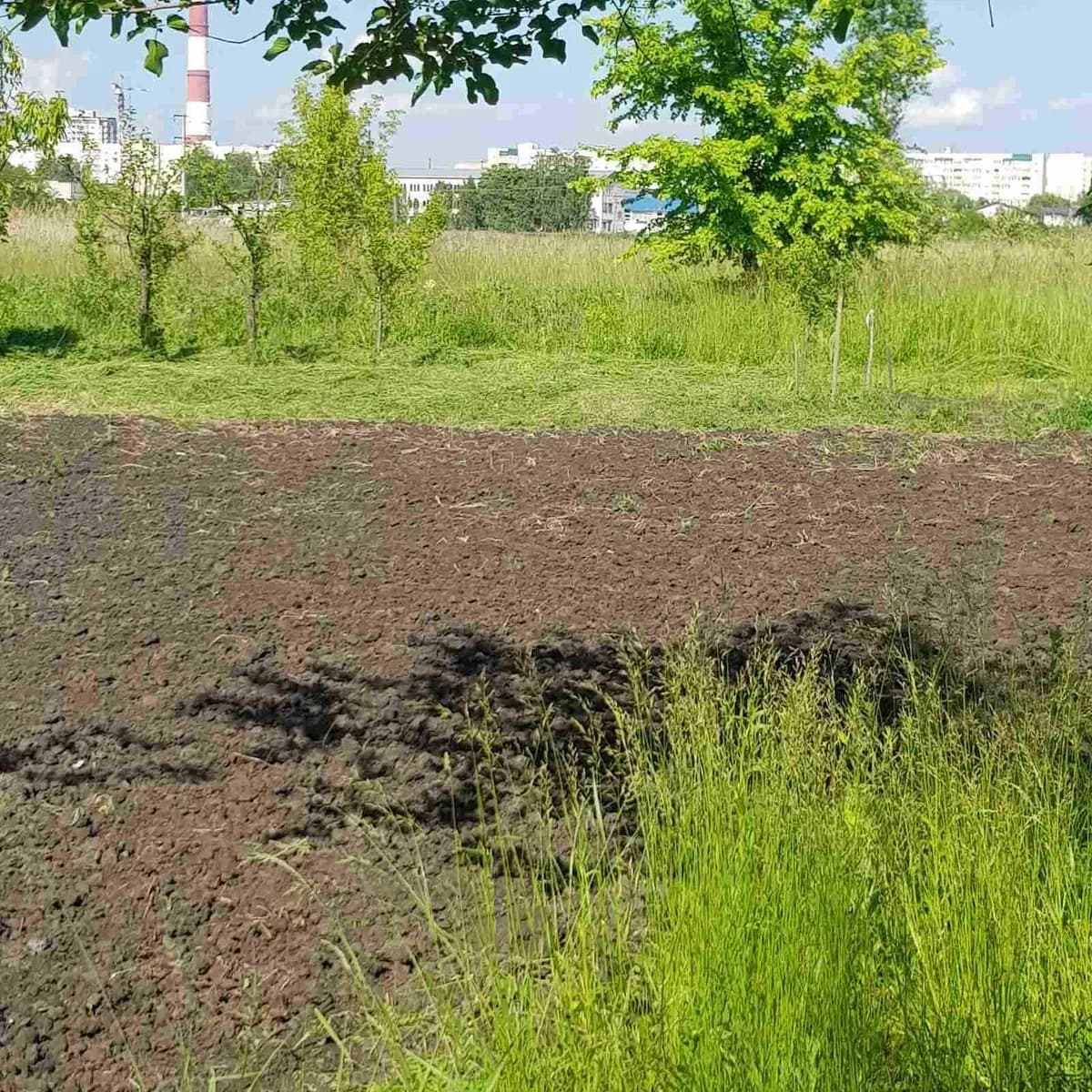 Ділянка 10 соток, Пісочин: рівна, технічна вода, трансформатор поруч - фото 5
