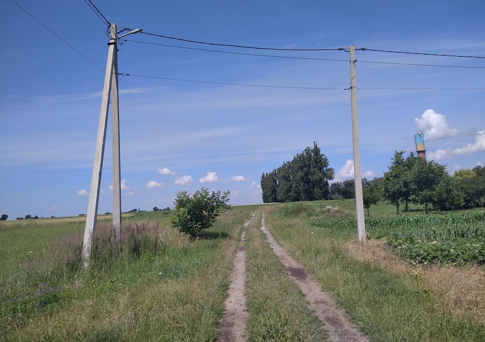 Ділянка 10 соток, Велика Омеляна: під житлову забудову, сад - фото 3