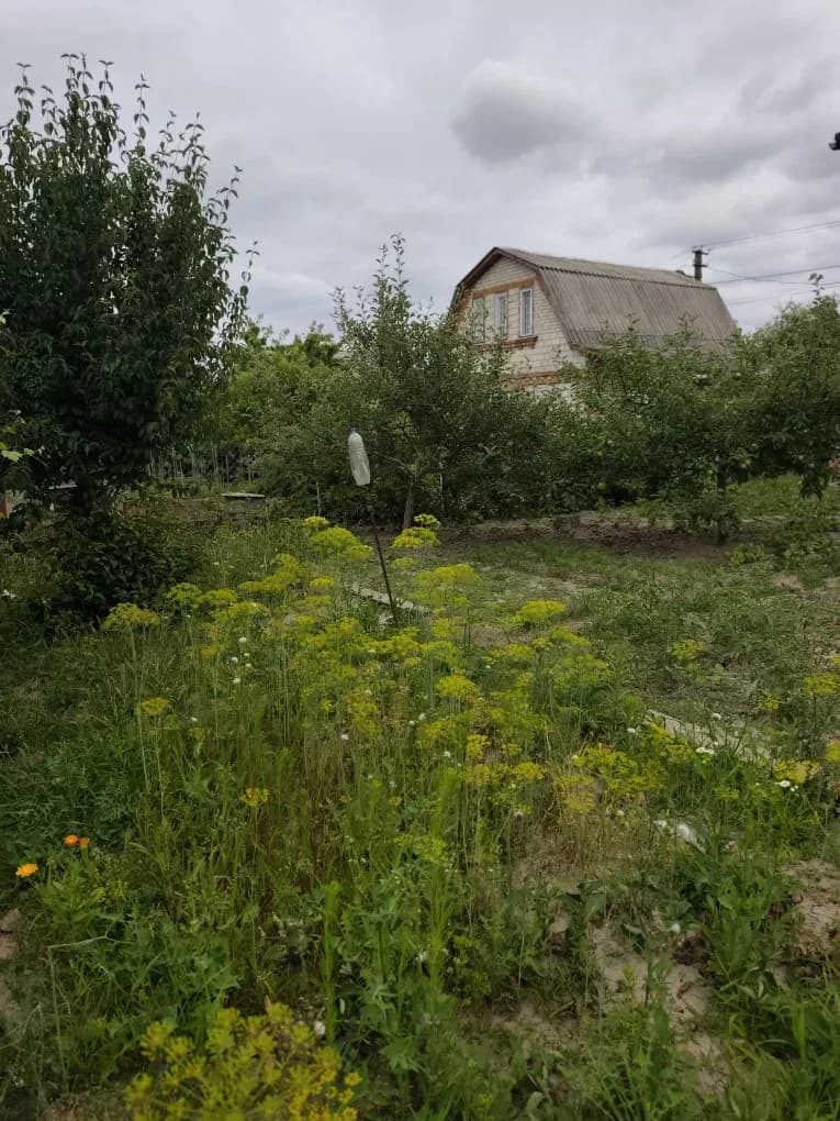 Дача, Вінниця: добудована мансарда, новий дах, додаткова ділянка - фото 5