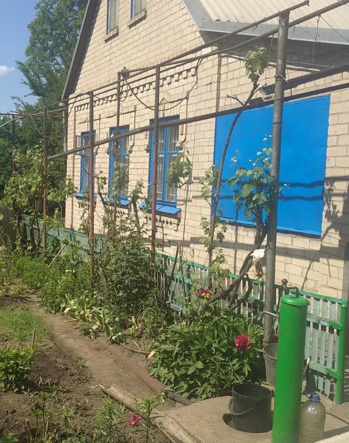 Будинок, 3-й Шевченківський: веранда, сад і літня кухня - фото 5