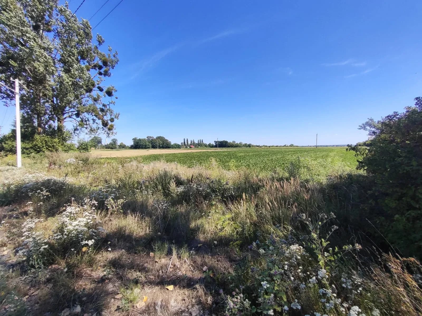 Ділянка 22 сотки, Коршовець: світло біля межі, можливий торг - фото 5