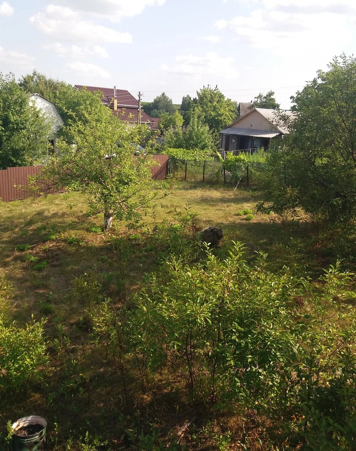 Будинок, Велика Бугаївка: веранда, 6 соток, гараж із підвалом - фото 5