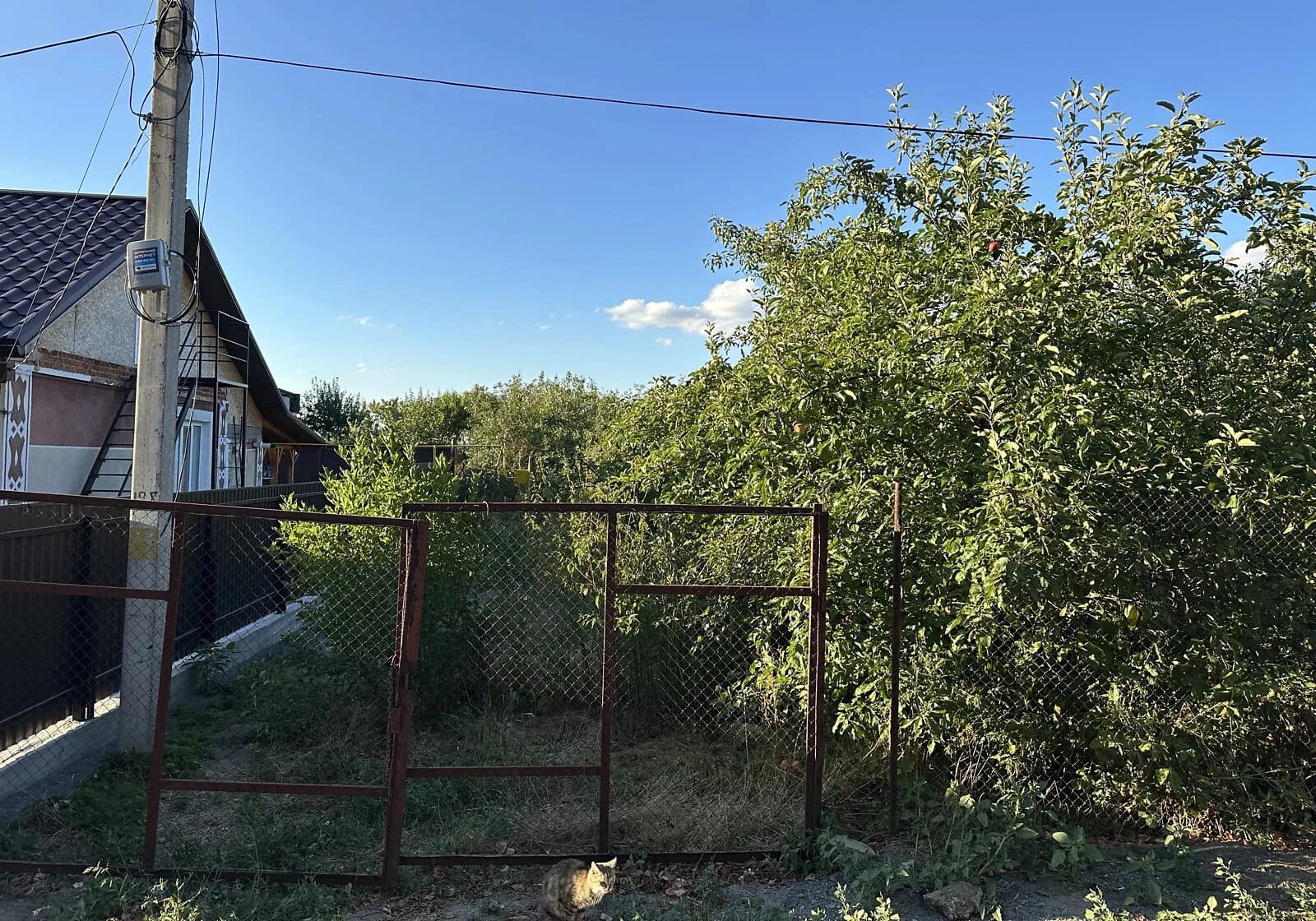 Будинок, Тульчин: цегляні стіни, літня кухня