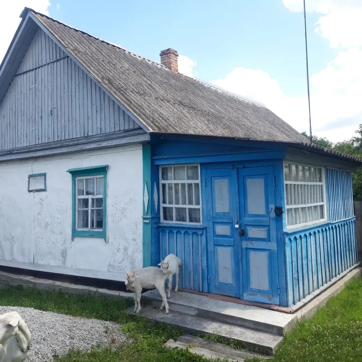 Дача, Радівка: еко відпочинок, ставок, ліс