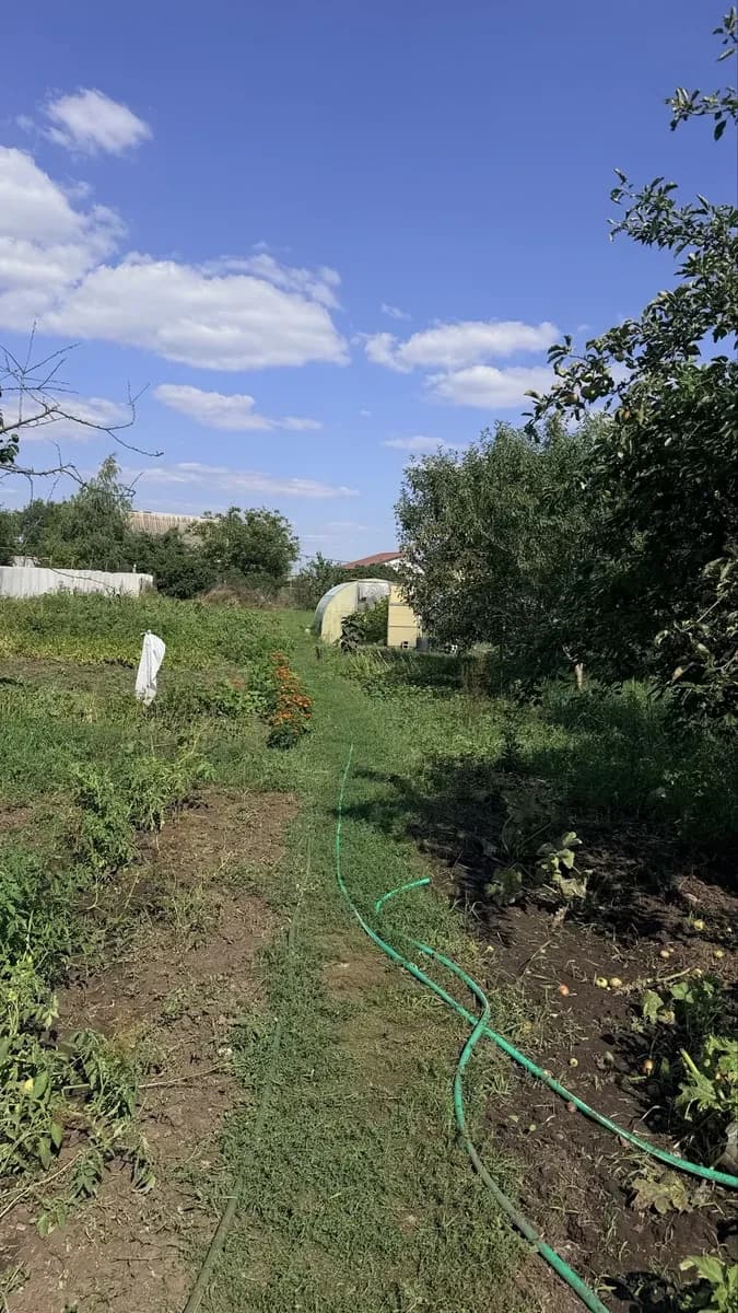 Будинок, Новоселівка: гараж, дві теплиці, річка за 100 м - фото 5