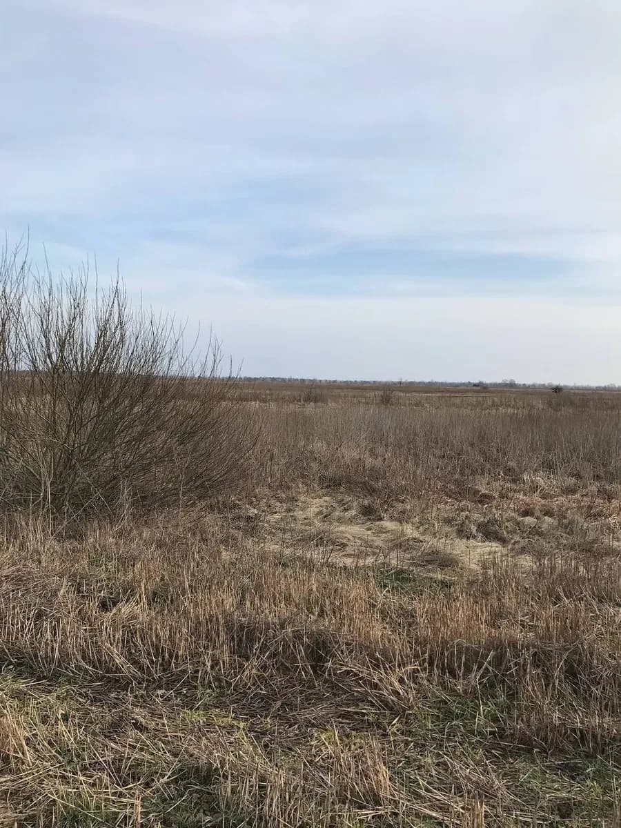 Ділянка 109 соток, Нижча Дубечня: між Десною та Дніпром - фото 4