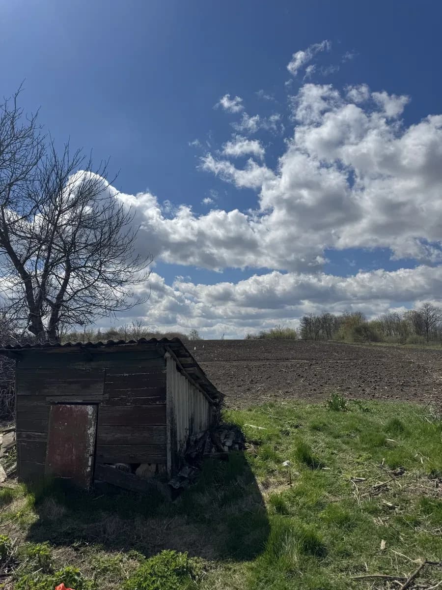 Будинок, Кочубіївка: українська хата, 48 соток землі - фото 4