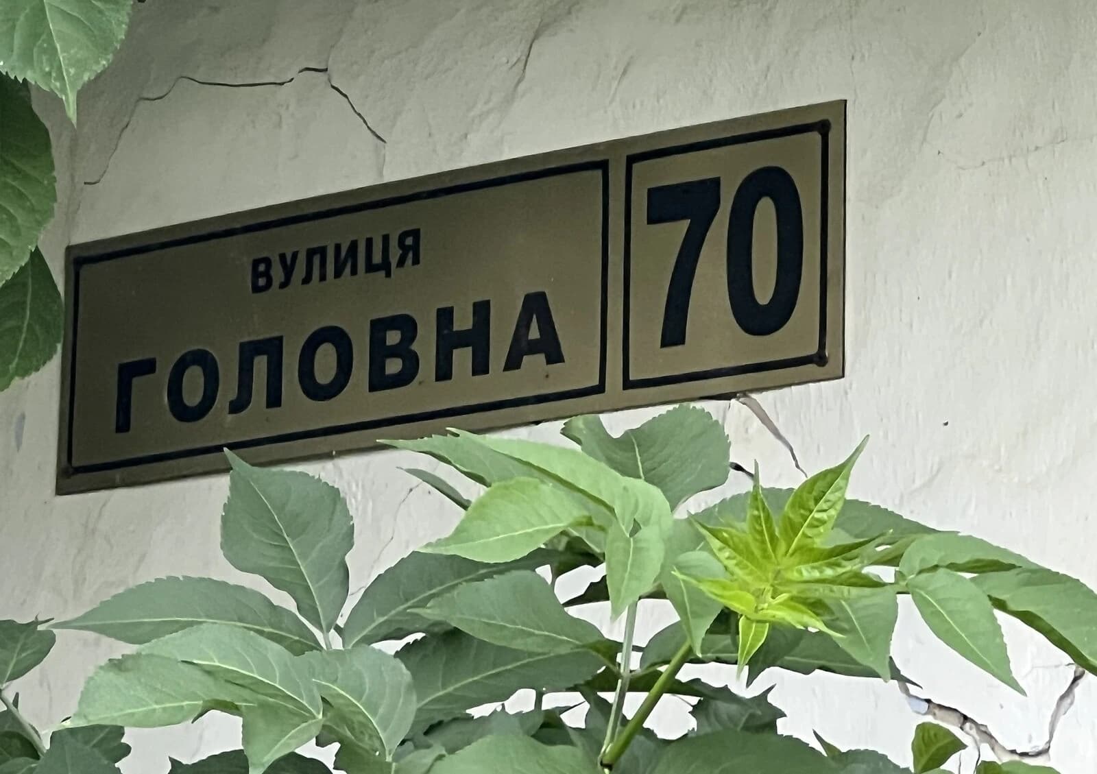 Будинок, Тарашани: басейн, 4 спальні, тенісний корт - фото 4