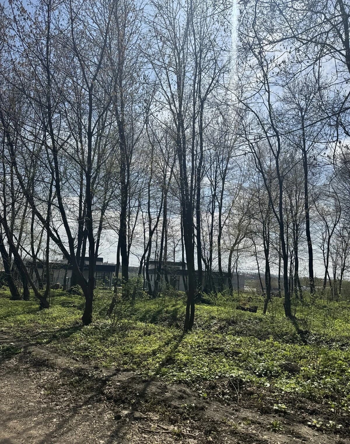 Ділянка 12 соток, Хмельницький: штучне озеро, свердловина - фото 2