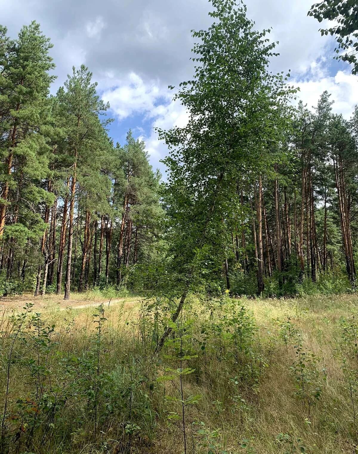Ділянка 10 соток, Деснянський: під житлову забудову, під гараж - фото 4