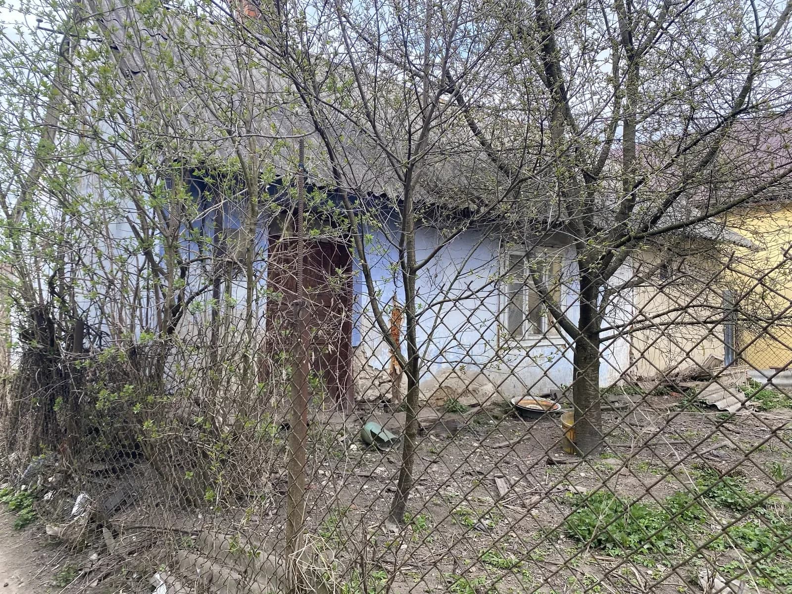 Будинок, Керниця: приватизовані дім і ділянка, магазин 100 м - фото 4
