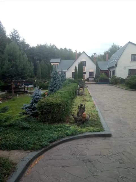 Будинок, Лебедин: гараж, ділянка 2,7 га, бесідка