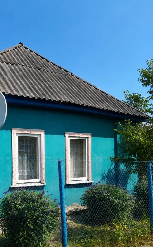 Будинок, Ріпки: гараж, 11 соток, дрова на сезон