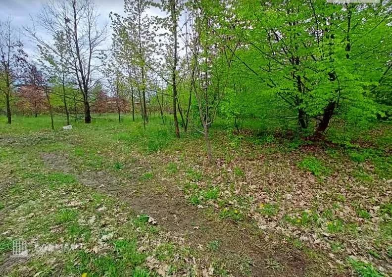Ділянка 22.50 соток, Рівець: під житлову забудову, електрика та інтернет - фото 4
