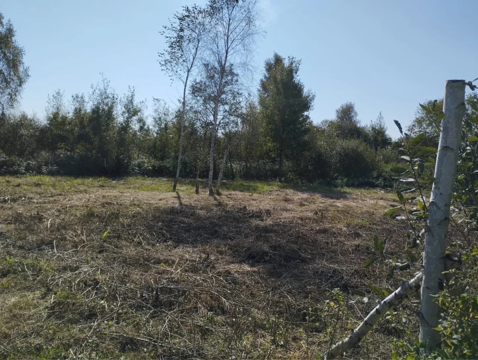 Ділянка 5.93 соток, Підрясне: рівна, електрика поруч - фото 4