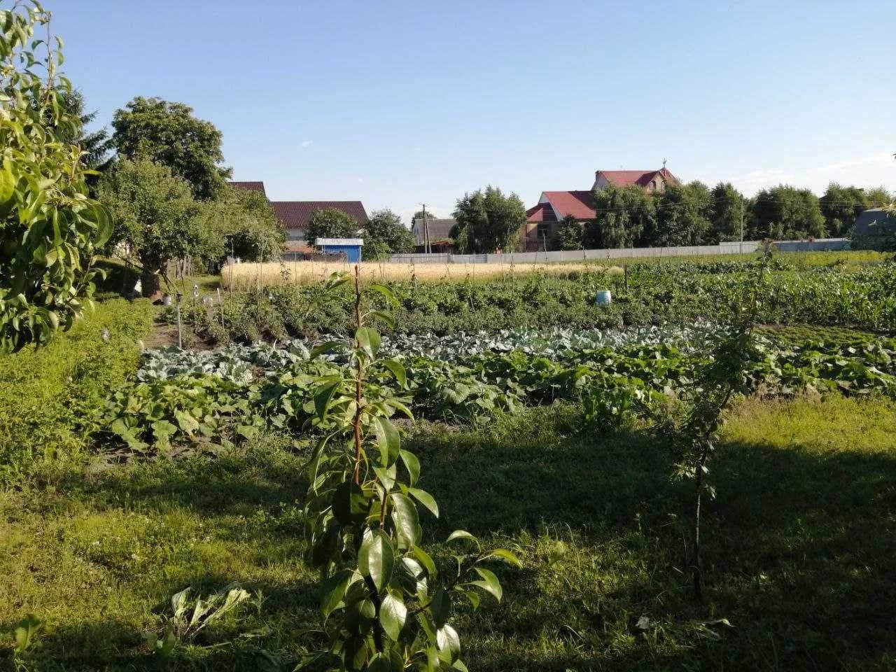 Ділянка 14,5 сотки, Погреби: під житлову забудову, госпспоруда - фото 4