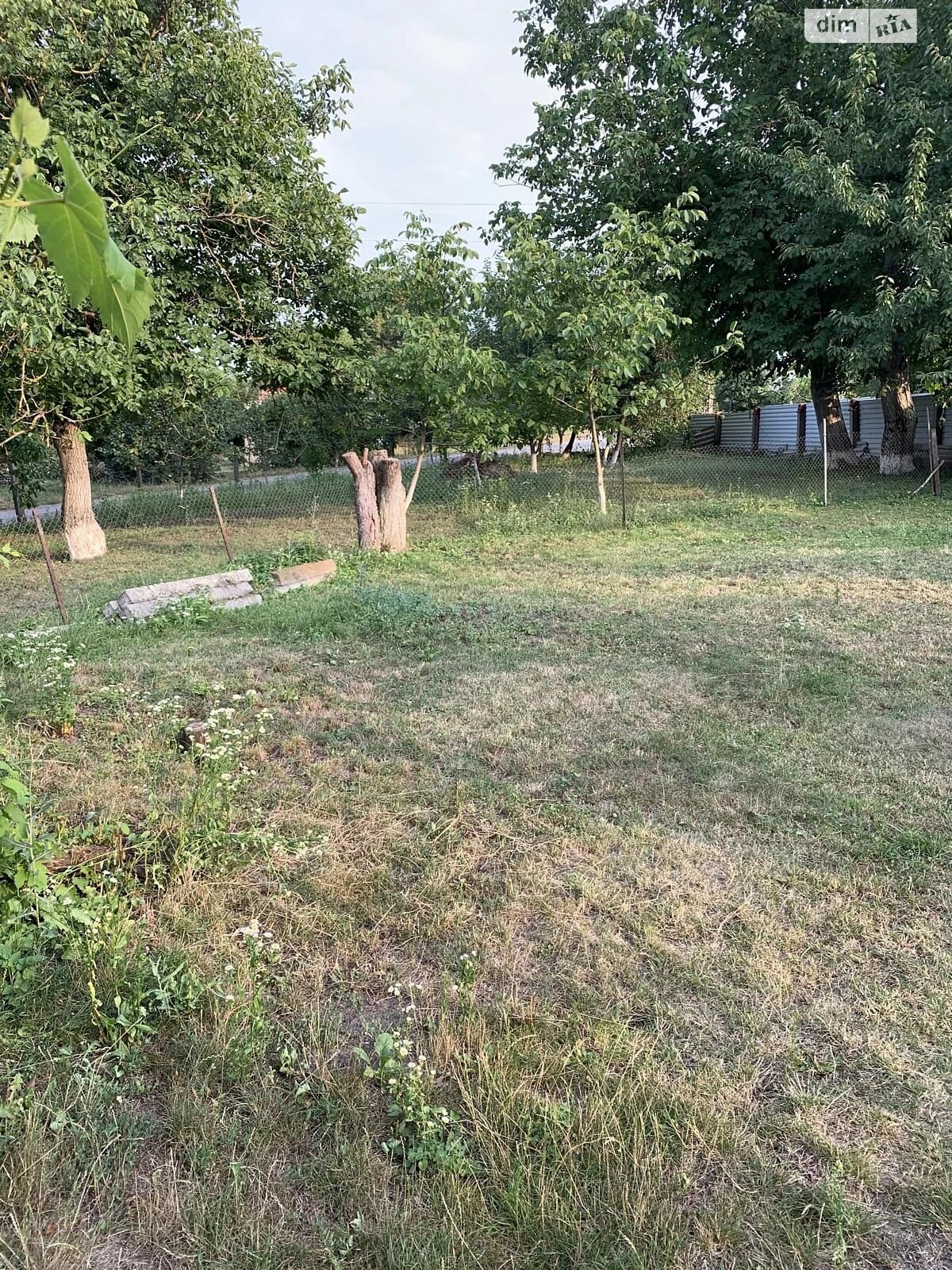 Будинок, Сутківці: 2 спальні, гараж із підвалом, 45 соток - фото 3