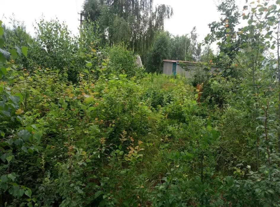 Ділянка 12 соток, Дениші: річка Тетерев, під будівництво - фото 4
