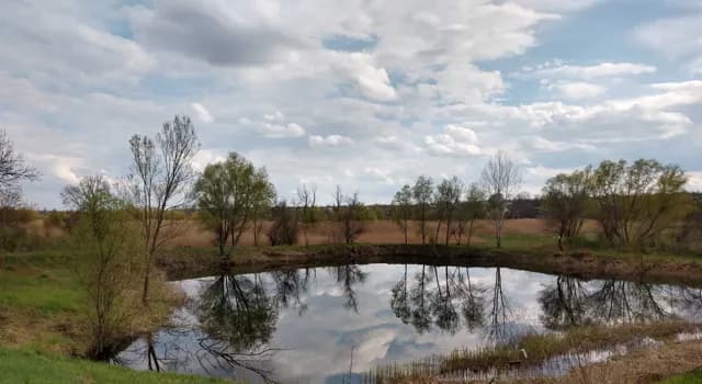 Ділянка 166 соток, Фортечний: природний ставок 50×50 м, електрика 380 В - фото 3