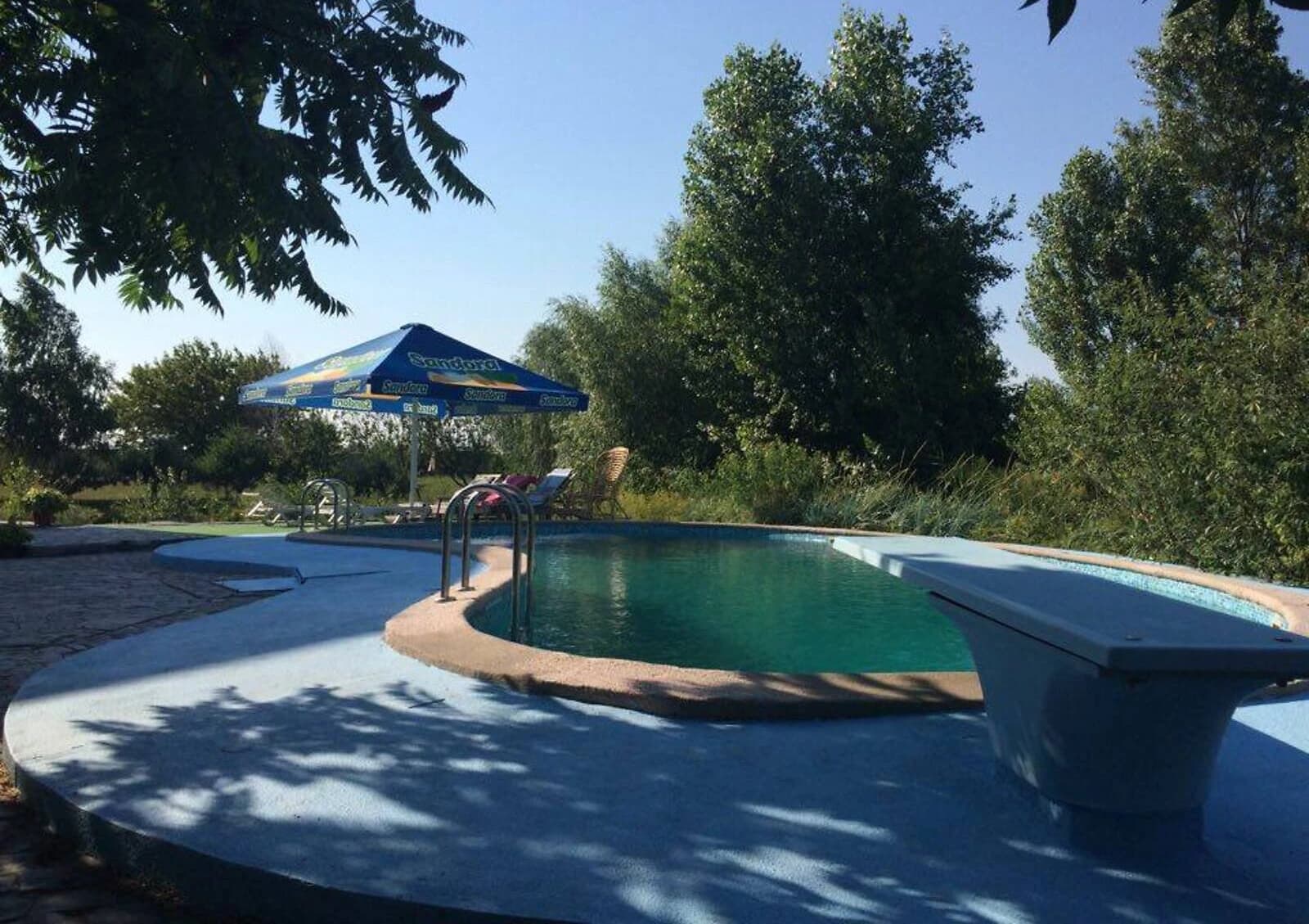 Будинок, Гнідин: басейн, природне озеро, бесідка - фото 3