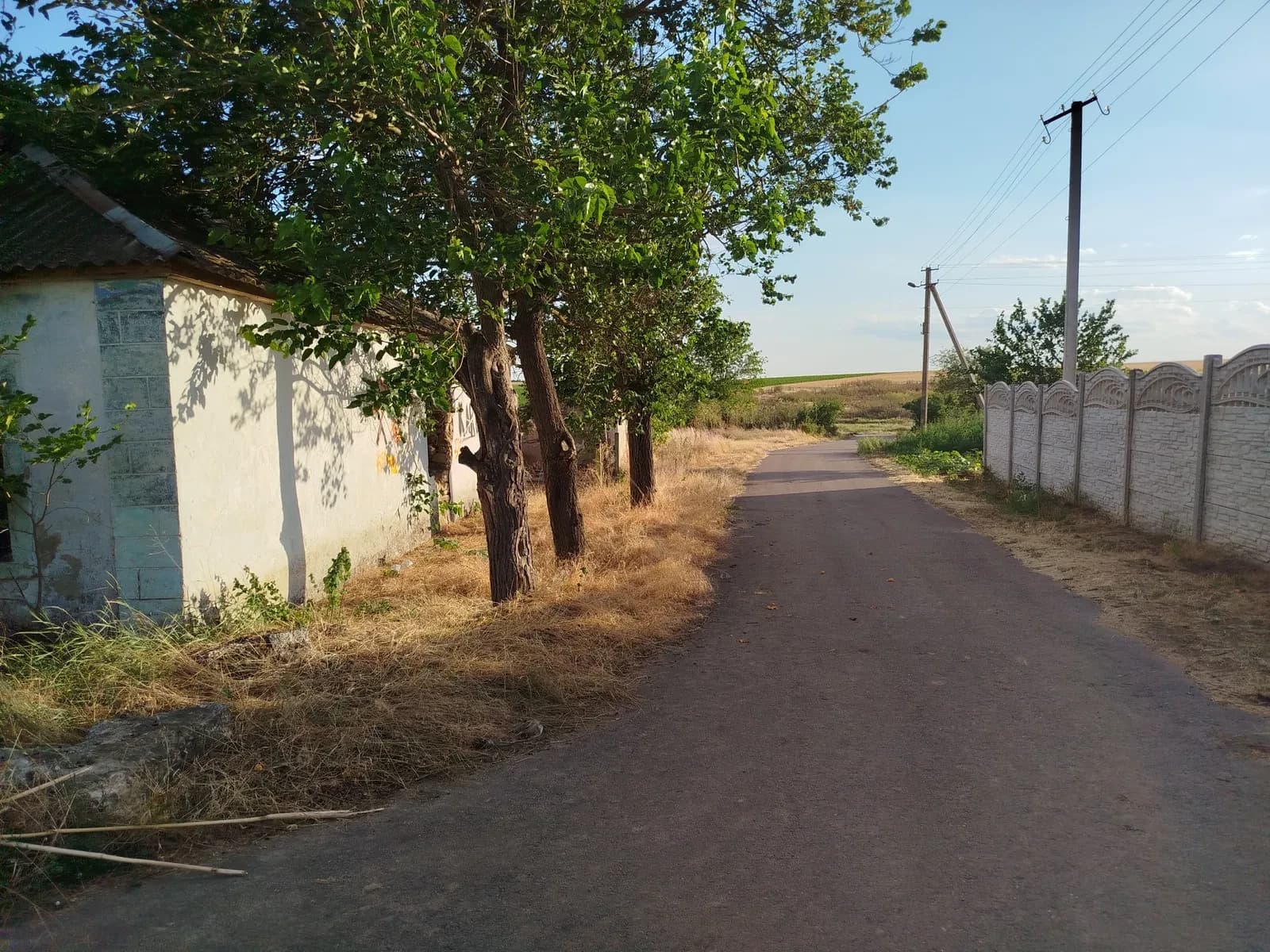 Частина будинку, Кринички: 12 соток, під відновлення - фото 3