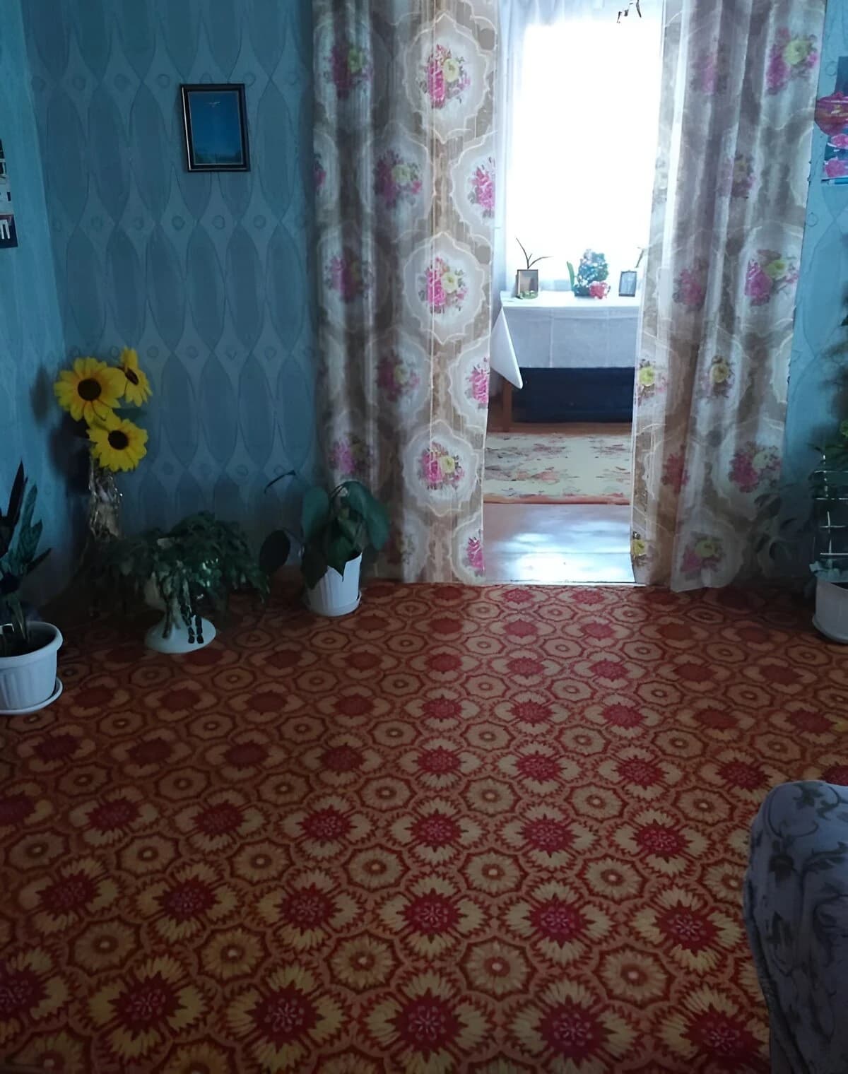 Будинок, Соколівка: гараж, 12 соток, пічне й газове опалення - фото 4