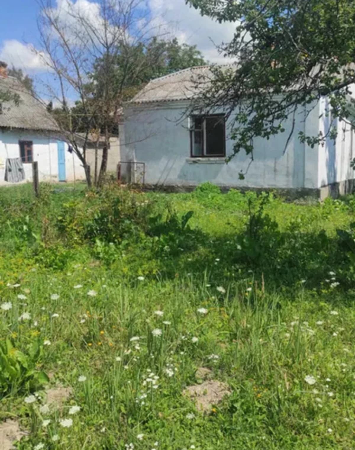 Будинок, Нова Лішня: ділянка 25 соток, цегляні стіни, переуступка