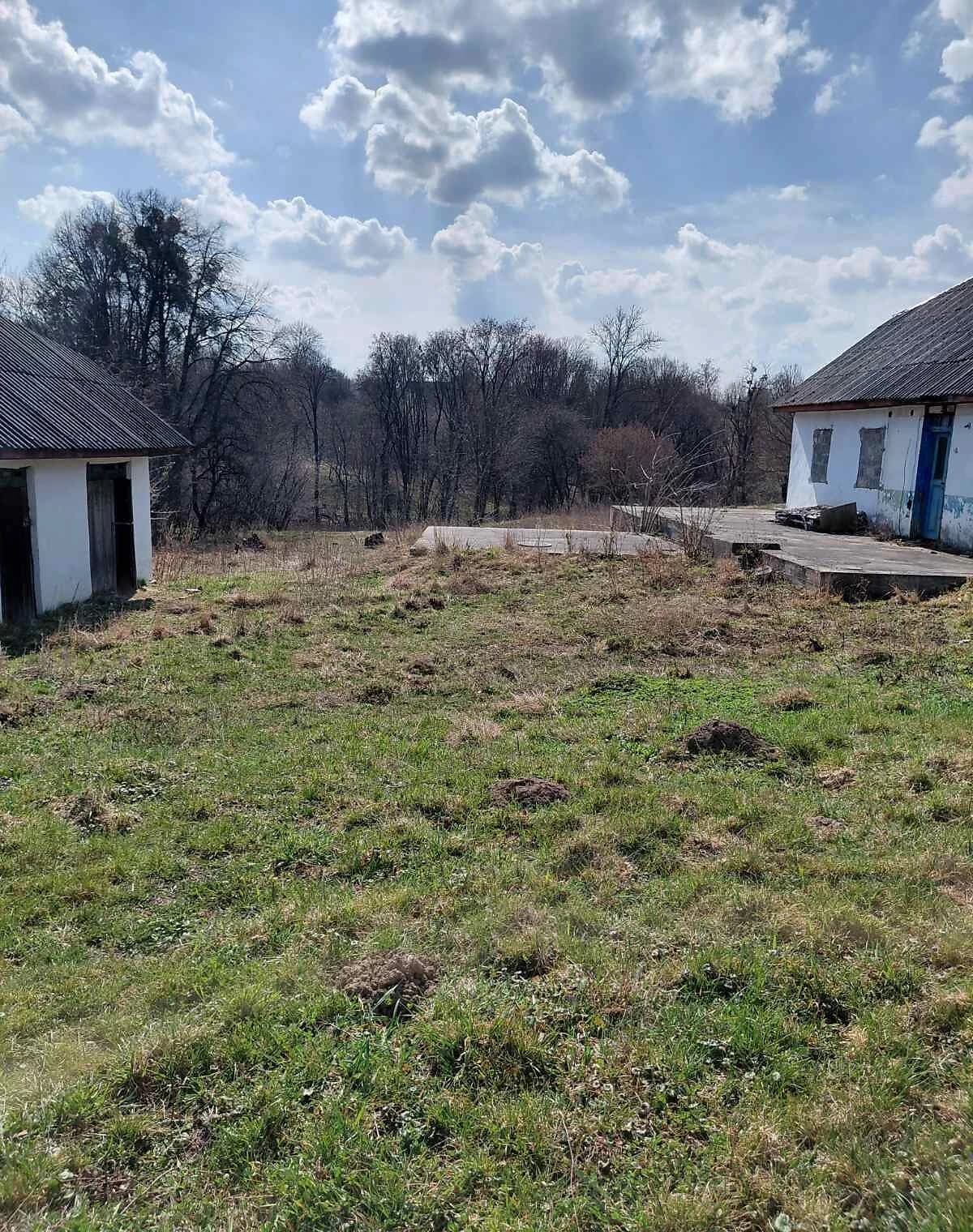 Ділянка 59 соток, Радісне: під житлову забудову, струмок, сад - фото 5