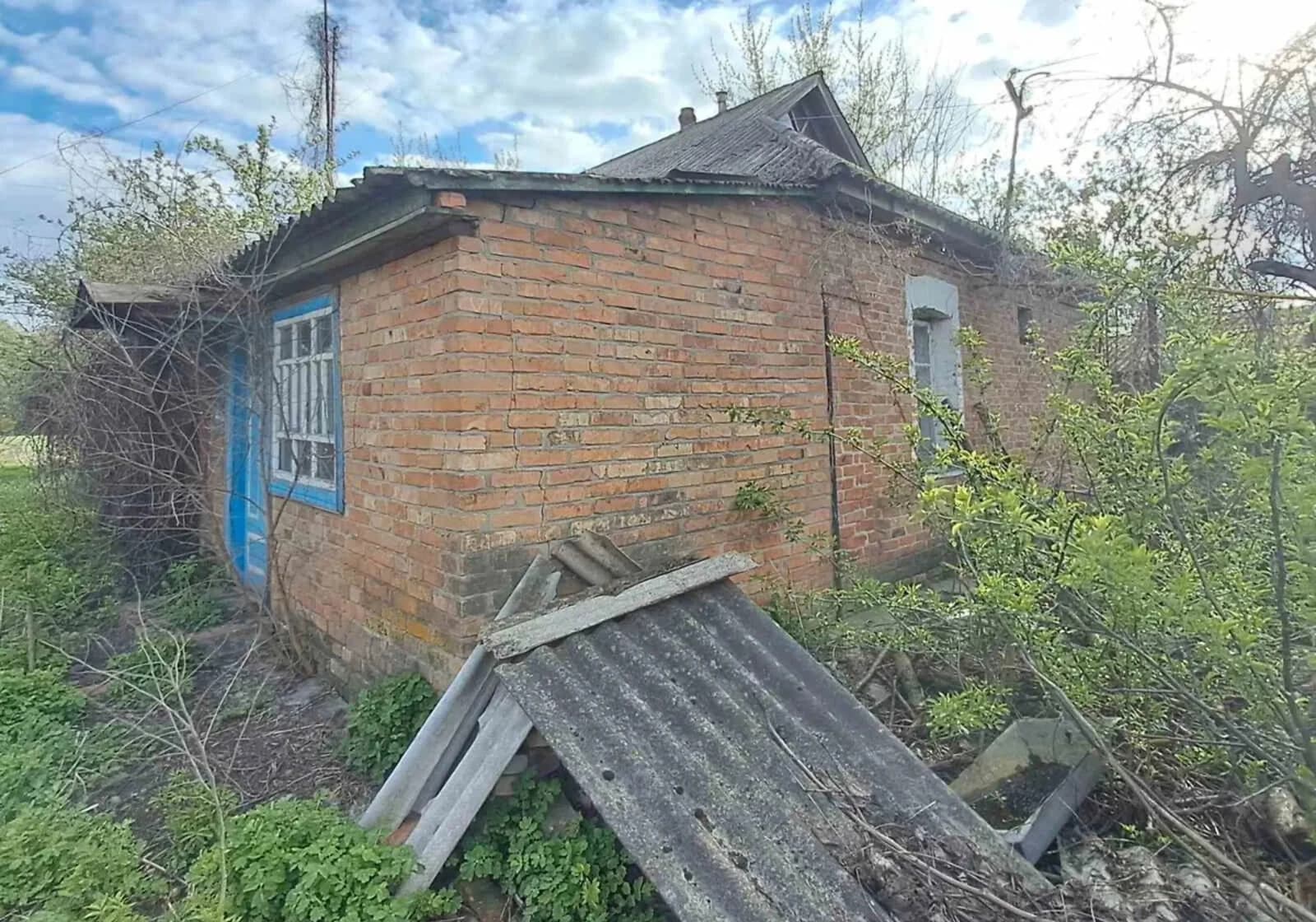 Будинок, Андріяшівка: літня кухня, цегляні стіни - фото 4