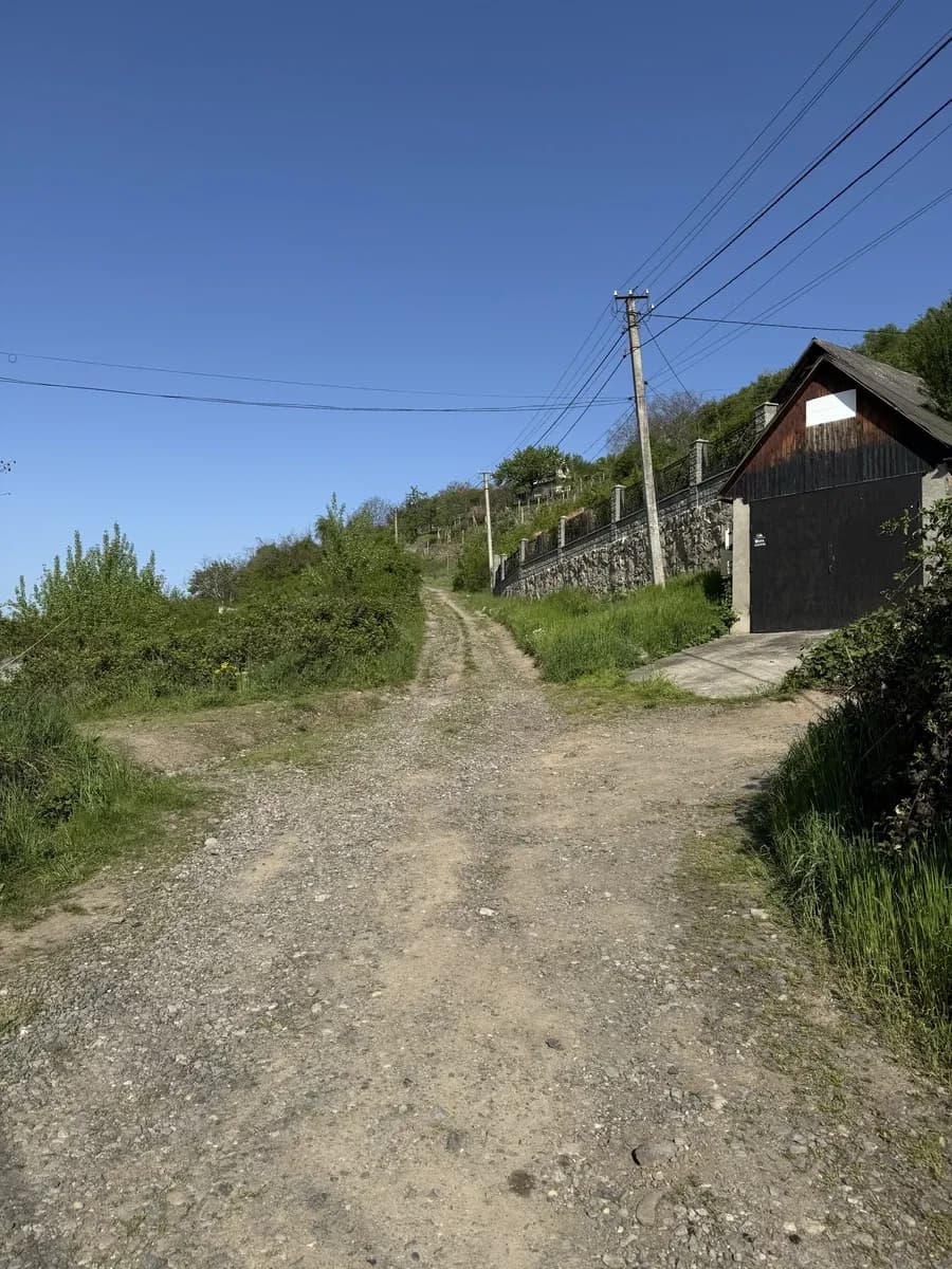 Дача, Виноградів: вода, фруктові дерева, панорама - фото 2