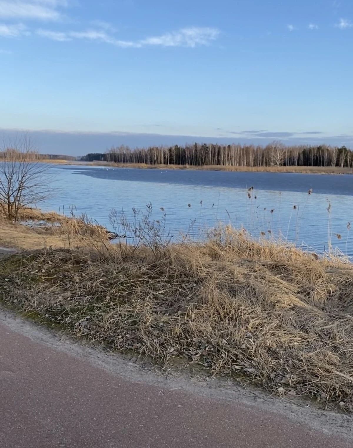 Ділянка 30 соток, Страхолісся: під житлову забудову, електрика - фото 1