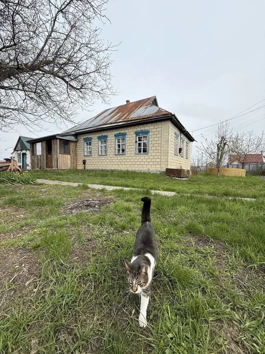 Будинок, Мліїв: 50 соток, газ, вода і каналізація - фото 1