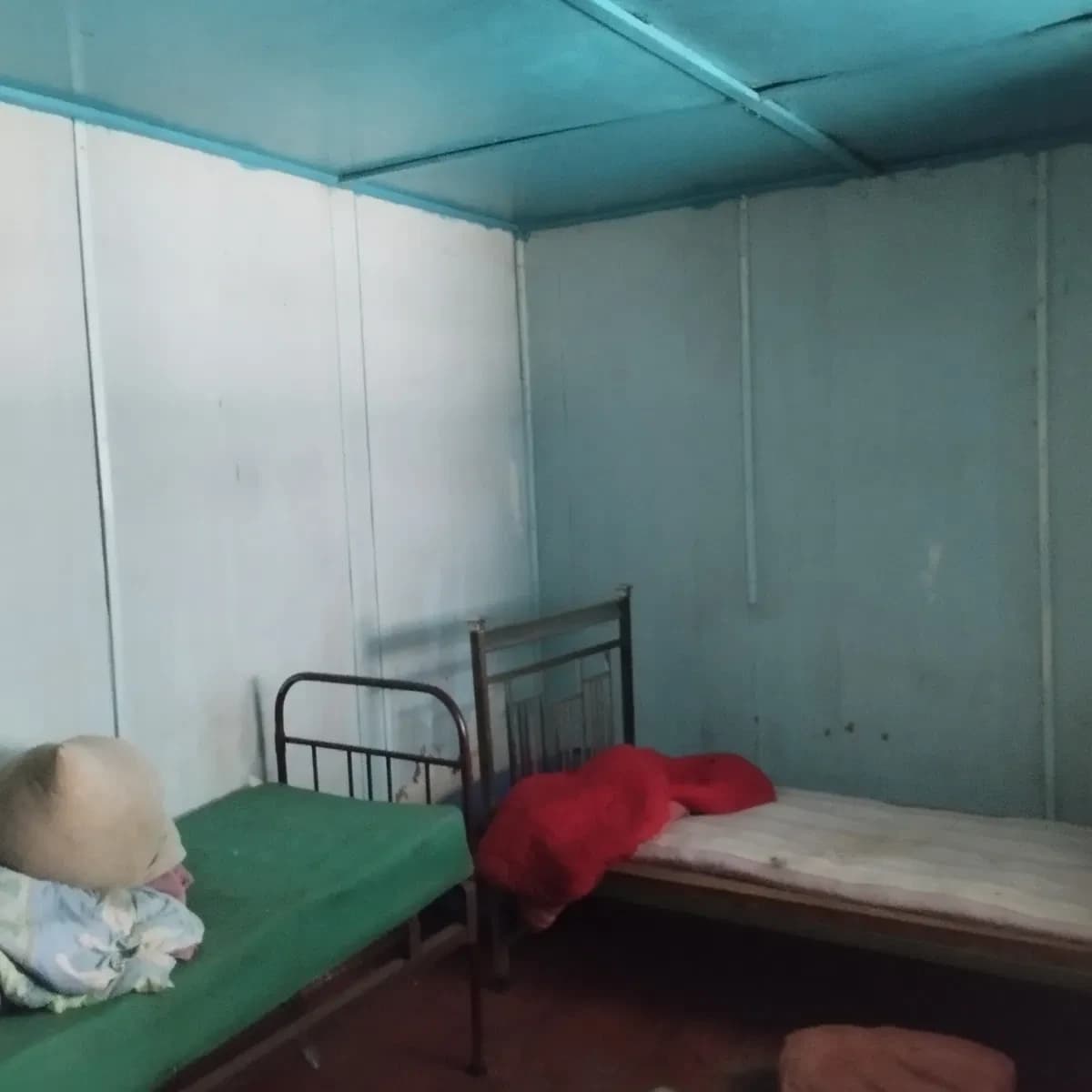 Дача у кооперативі "Сулимівський 1": світло і вода, озеро та ліс - фото 3