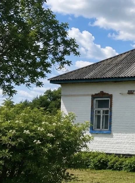 Будинок, Володькова Дівиця: 50 соток, потребує ремонту
