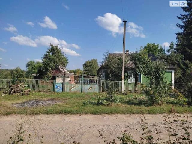 Будинок, Вікентіївка: гараж, опалення, цегляні стіни - фото 3