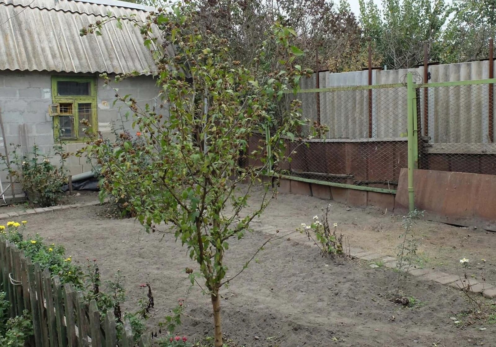 Частина будинку, Заводський: сад, 3 спальні, газ без світла - фото 2