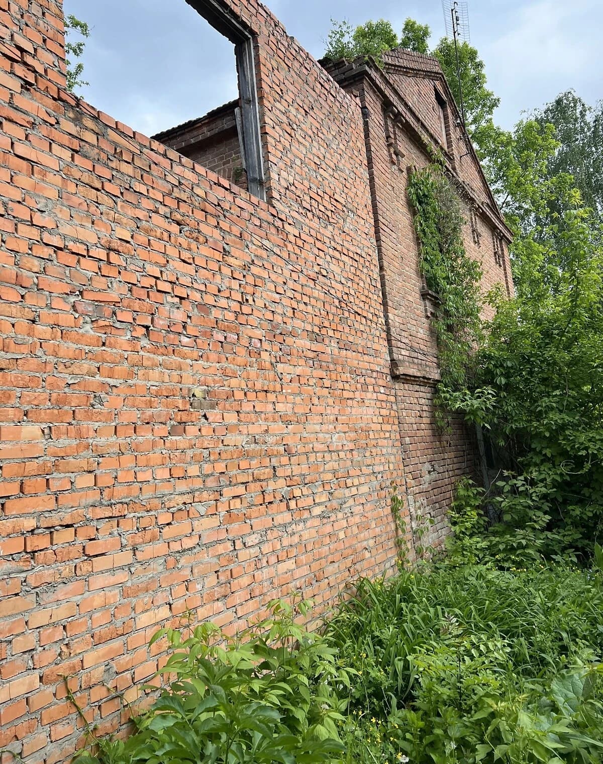 Частина будинку, Центр: гараж, 2.8 сотки, торг - фото 3