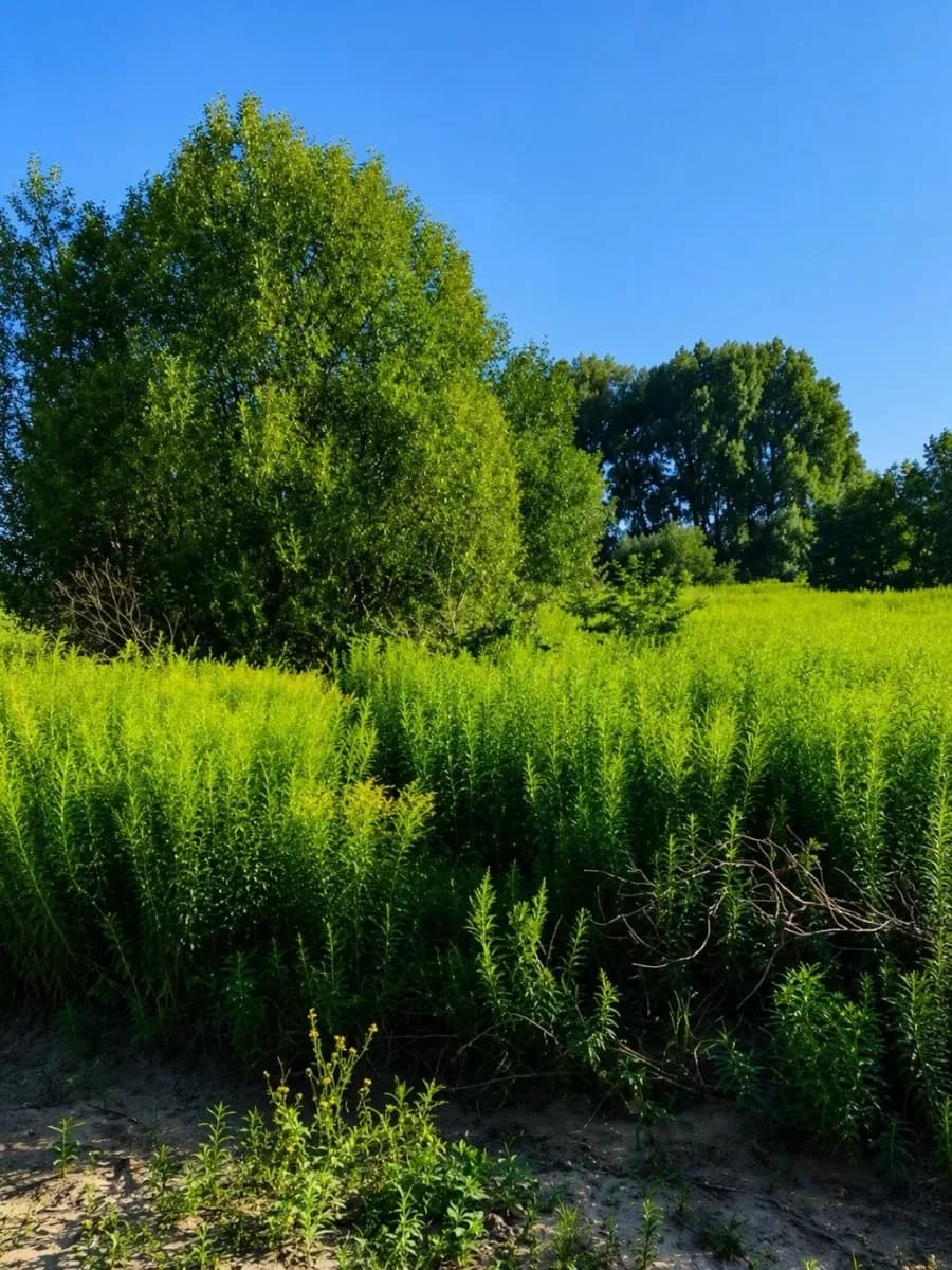 Ділянка 3,5 соток, Юрівка: під будівництво, біля Green Hills - фото 2