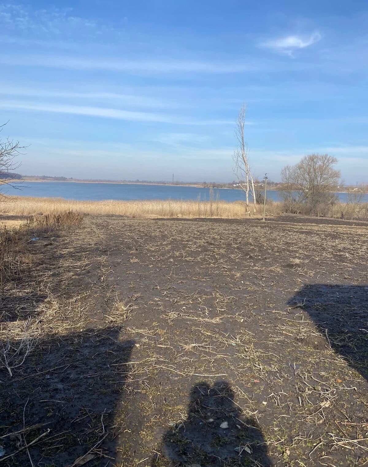 Будинок, Холонів: гараж із підвалом, свердловина, сад і город - фото 5
